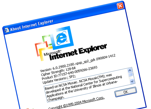 Microsoft Internet Explorer 6.0